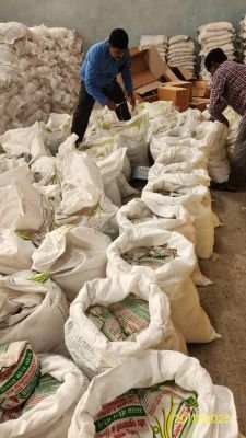 Water Affected Stock of Seed of Masoor Dal